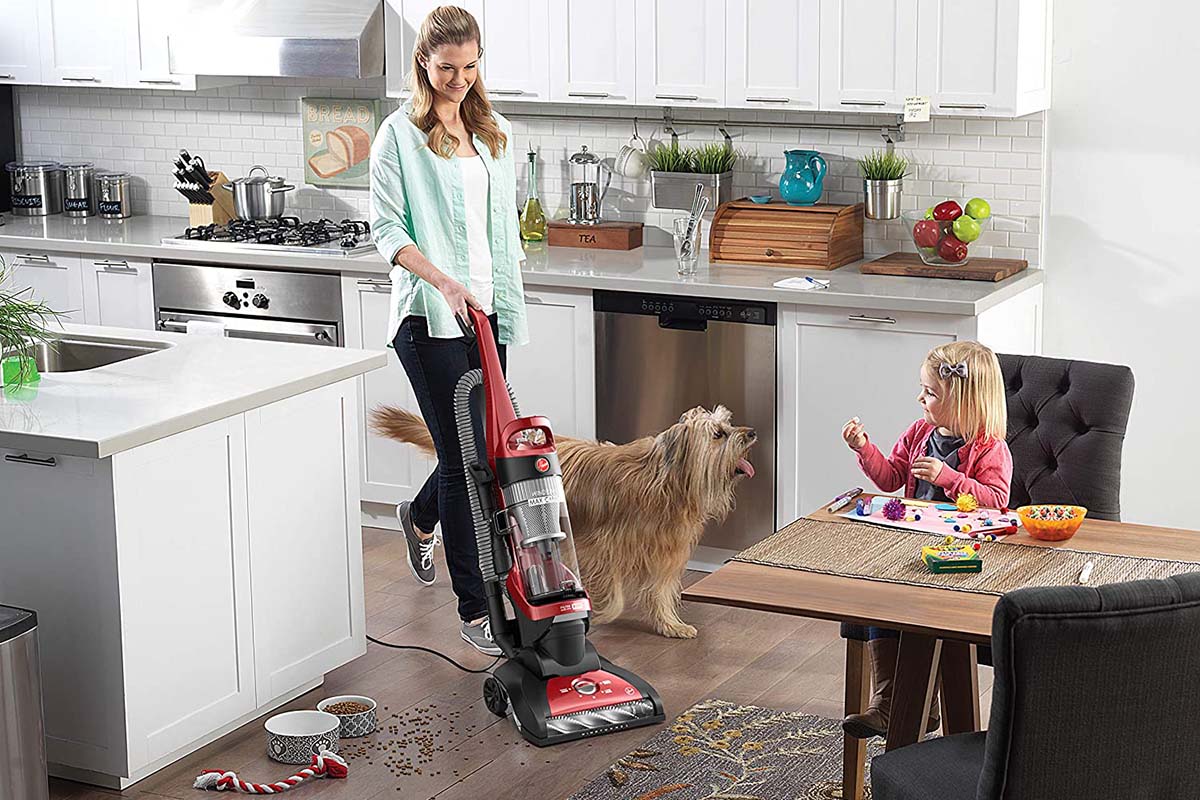 pet vacuum rental