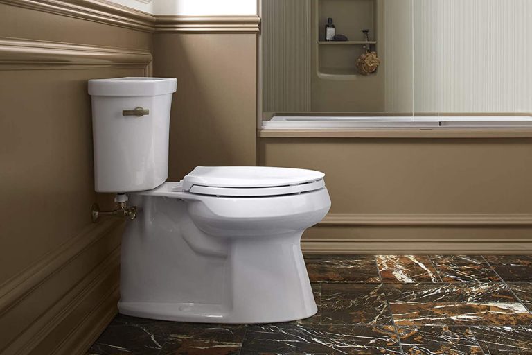 Best Toilet Seats in 2024 Reviews of Comfort & Style HomeAddons